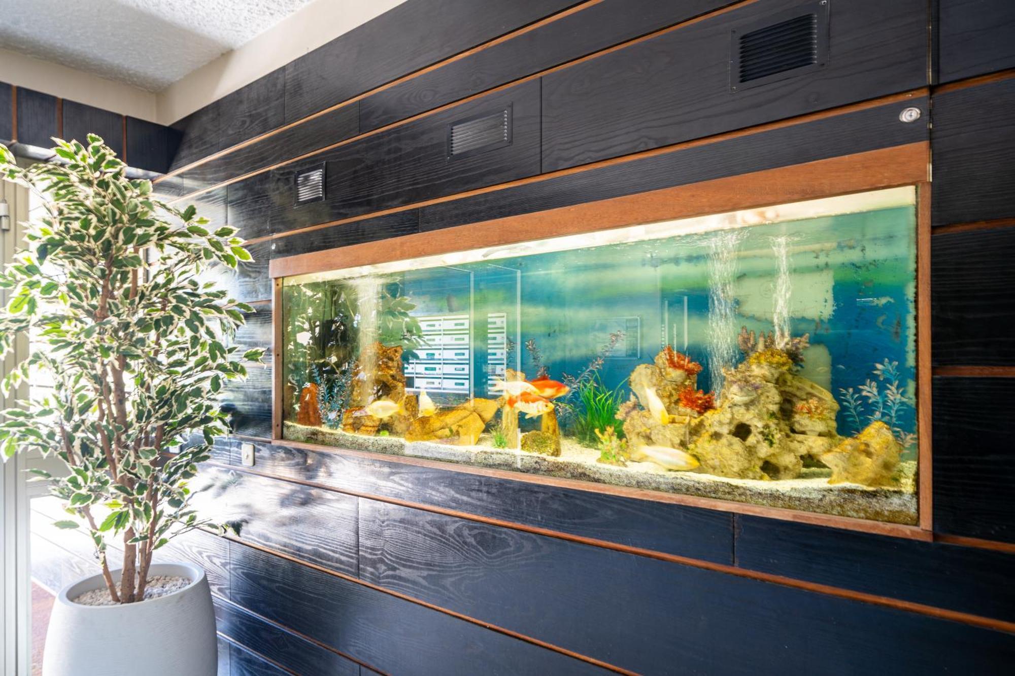 Magnifique 2 Pieces Vue Mer - Parking Proche Plage Сен-Лоран-дю-Вар Экстерьер фото